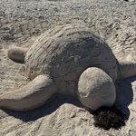 A sand sculpture of a sea turtle on a sunny beach in the Dominican Republic, with sunbathers behind