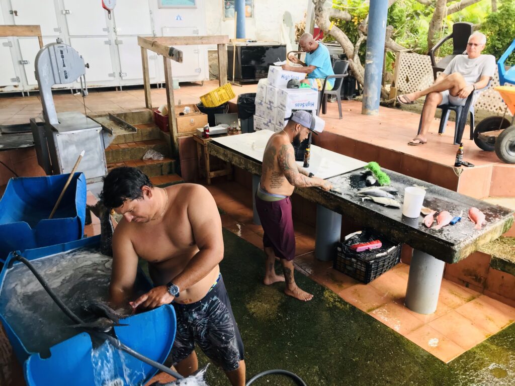 Watching team prepare fish