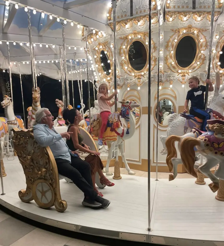 Enjoy the carousel each night