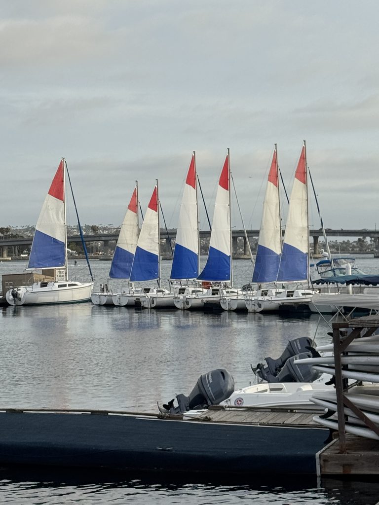 skiff boats lined up at pardise point