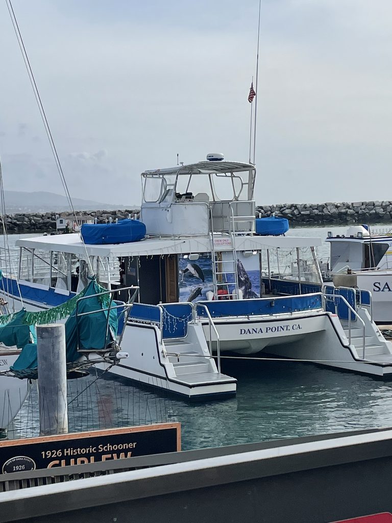 boat at dana point